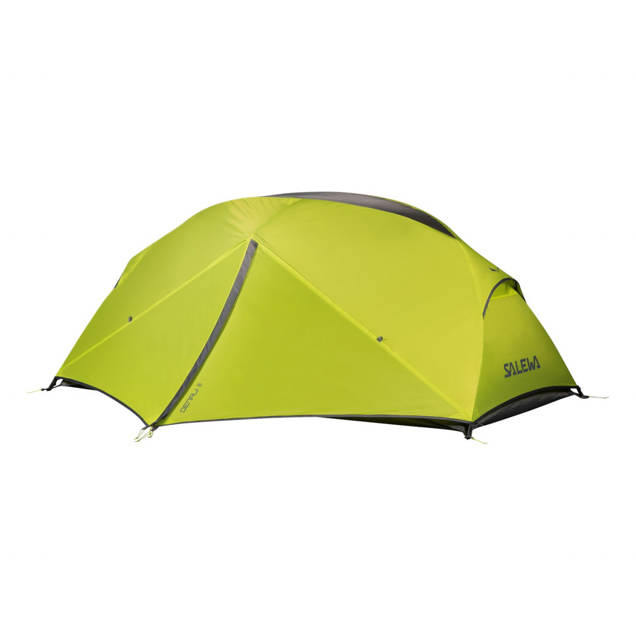 Carpa Chile - Salewa DENALI III - Verde/Gris - BNTH-95314